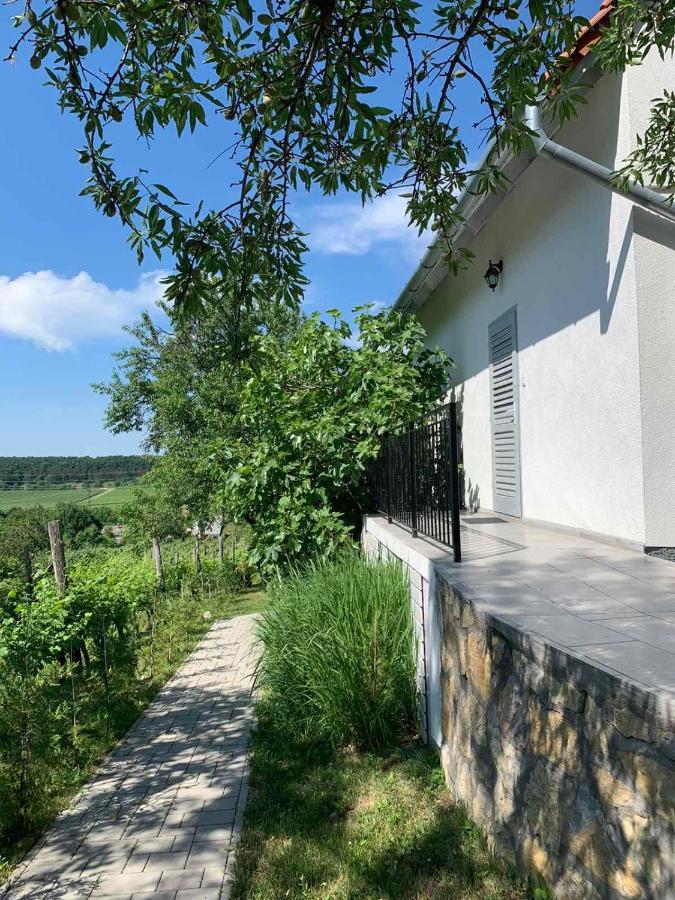 Szőlőskert vendégház Balatonszolos Extérieur photo